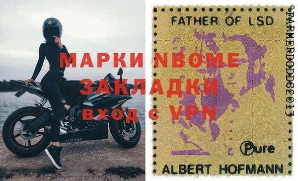 хмурый Алексин