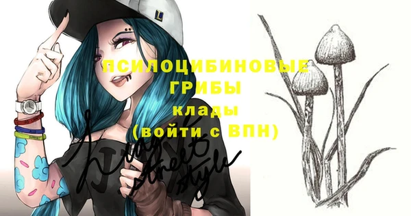 спиды Михайлов