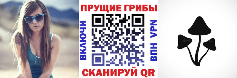 мега зеркало  Пугачёв  Галлюциногенные грибы GOLDEN TEACHER  как найти  